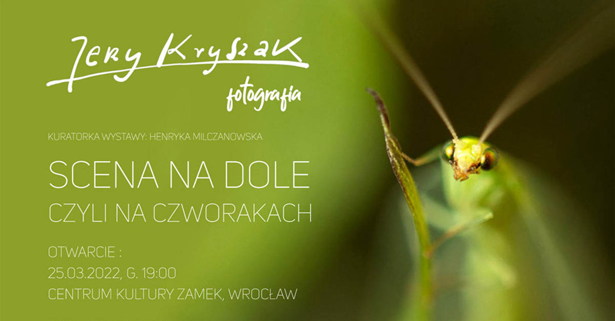 Jerzy Kryszak - Scena na dole, czyli na czworakach - wystawa fotografii Centrum Kultury Zamek Wrocław
