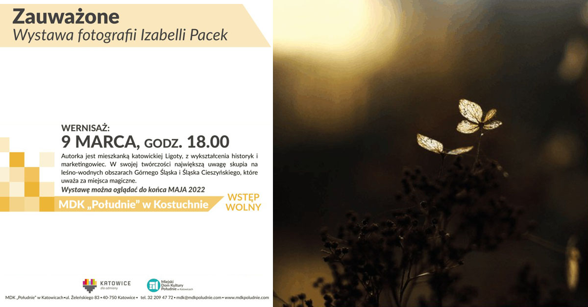 Izabella Pacek - Zauważone - wystawa fotografii MDK Południe Katowice-Kostuchna