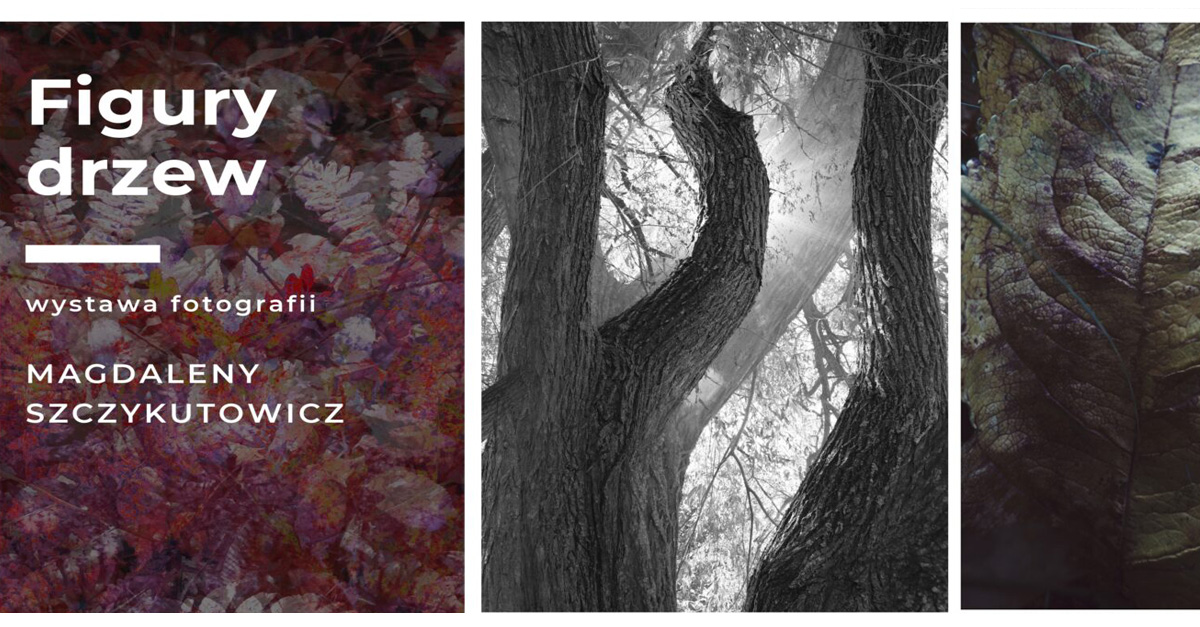 Magdalena Szczykutowicz - Figury drzew - wystawa fotografii Galeria Art-Styl Dom Kultury Zameczek Kielce