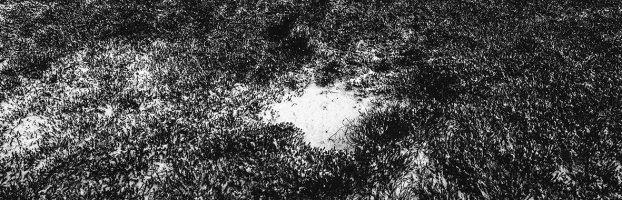 Beloved Land