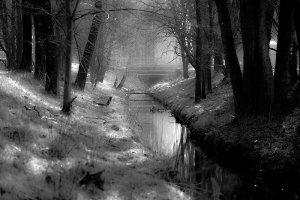 Mirosław Rak - Fotografia ojczysta wiek XXI