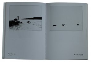 50 lat Łódzkiego Towarzystwa Fotograficznego. Wystawa jubileuszowa