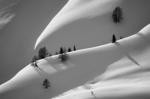 fot. Marcin Bawiec