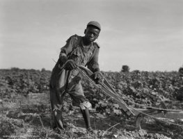 Dorothea Lange (1895-1965)