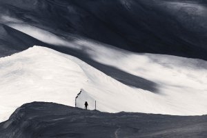 fot. Piotr Lisowski