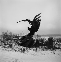 Magdalena i Maksymilian Rigamonti - Echo