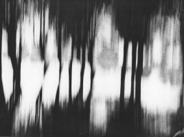 Edward Hartwig. Mazowieckie Krajobrazy