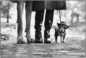 Elliott Erwitt (1928-2023)