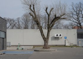 Jadwiga Janowska - Zielony uspokaja