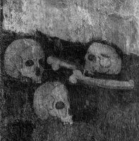 fot. Krzysztof Szlapa