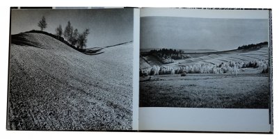 Paweł Pierściński - Struktury