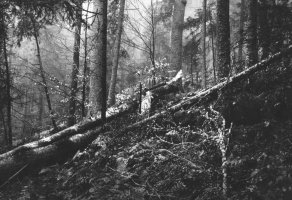 Jan Siudowski - Fotografia