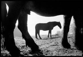 Stanisław Kulawiak - Portfolio. Fotografie z lat 1974-2021
