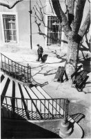 René-Jacques (1908-2003)