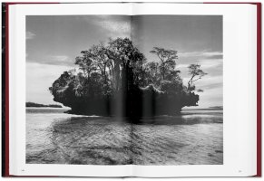 Sebastião Salgado - Genesis