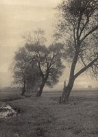 Poznański fotograf Sally Jaffé