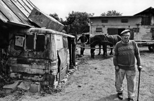 Zbigniew Podsiadło - Prowincja