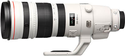 Canon EF 200-400mm f/4 L IS USM EXT. 1.4x