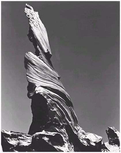 Driftwood_Stump_1937.jpg