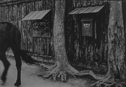 Kimura Ihei (1901 - 1974)