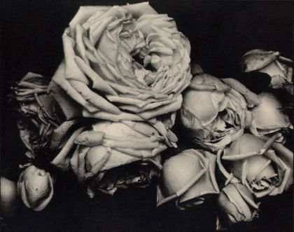 Steichen Edward (1879 - 1973)