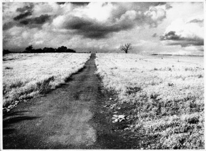 Zygmunt Bauman - Obrazy w słowach, słowa w obrazach