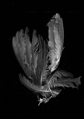 Jan Bortkiewicz - Photographs & Jan Bortkiewicz - Photographs &