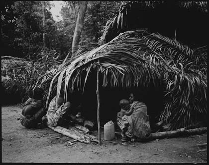 Marek Lalko - Taman Negara. Wystawa fotograficzna