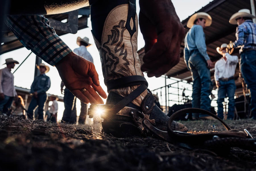 rrf2019 3
