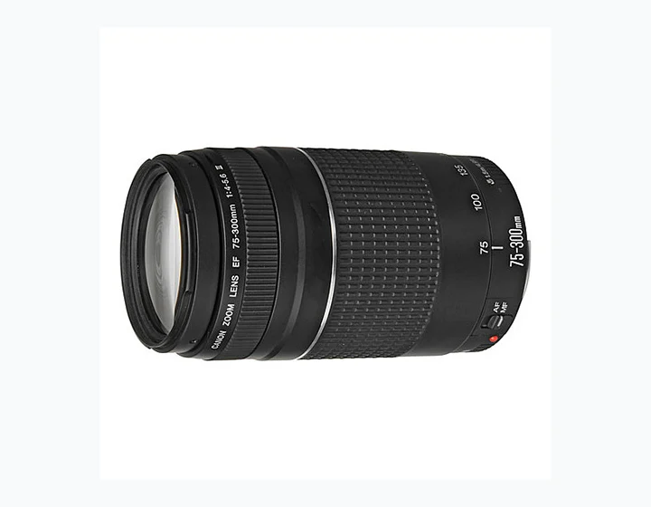 Canon EF 75-300mm f/4-5.6 III USM