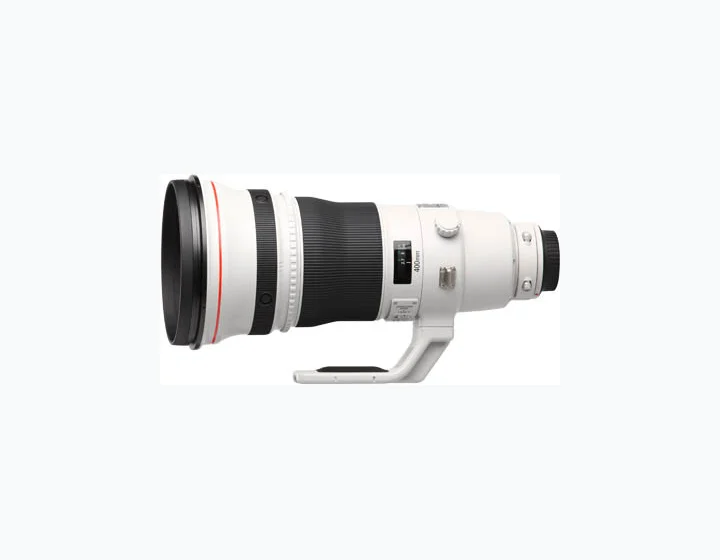 Canon EF 400mm f/2.8 L IS II USM