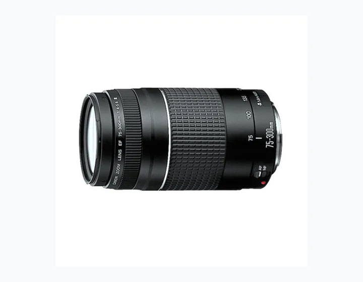 Canon EF 75-300mm f/4-5.6 III