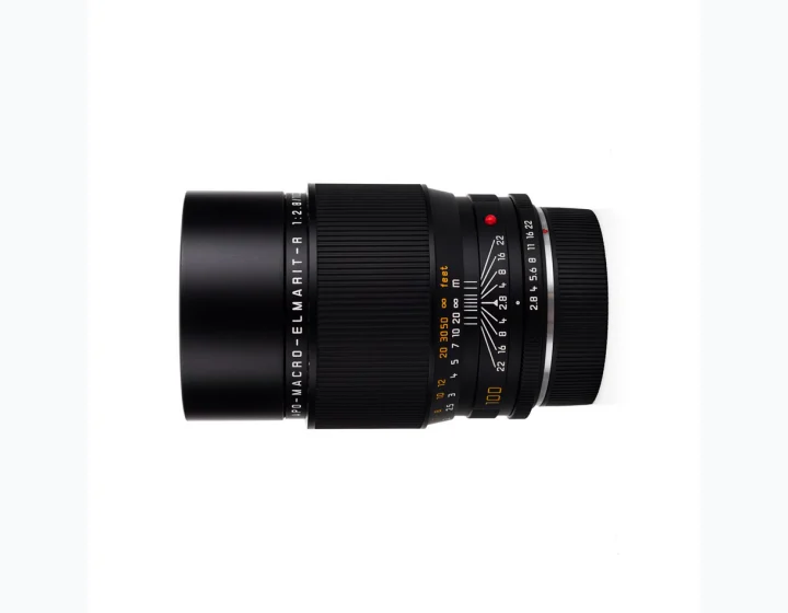 Leica APO-Macro-Elmarit-R 100mm f/2.8