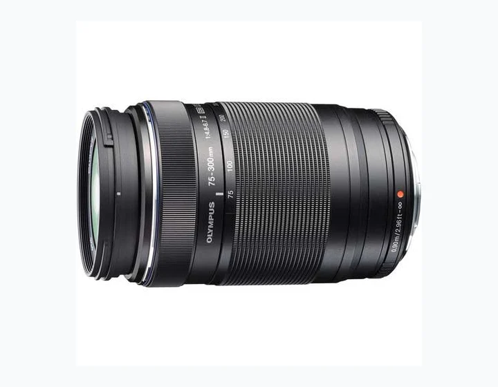 Olympus M.Zuiko Digital ED 75-300mm f/4.8-6.7 II