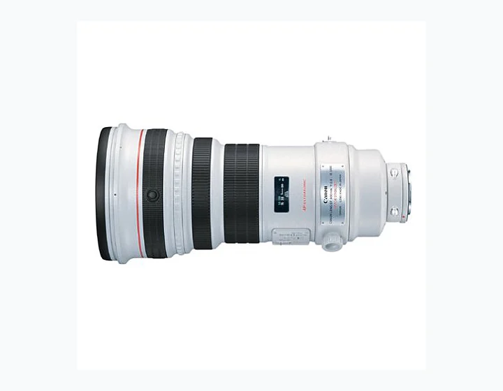 Canon EF 400mm f/2.8L IS USM