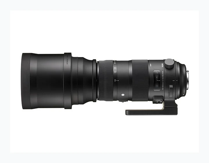 Sigma S 150-600mm f/5-6.3 DG OS HSM