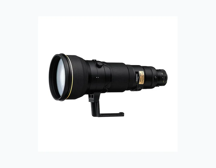 Nikon Nikkor AF-S 600mm f/4D IF-ED II