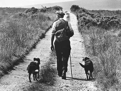 Bill Doyle (Irlandia) Bill Doyle (Irlandia)