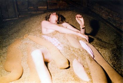 Teresa Tyszkiewicz -  Epingle